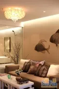 �����������1�������
