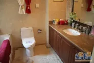��������ƥ�˻�԰�����������