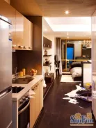 �ؽܳ�������������