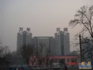 ���껨�������ܱ�����ͼ-Զ��