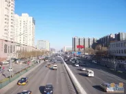 ���ų��ܱ�����-�ֵ�