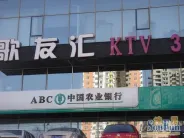 ���Ȫ�׽�Ԣ�ܱ�����-����