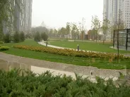 ƻ�������⾰ͼ