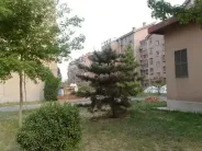 �̹���԰�⾰ͼ