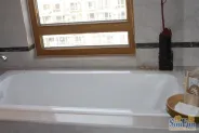 �׸����������������