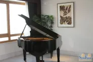 �׸��������������