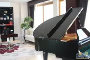 �׸��������������