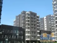 ������⾰ͼ
