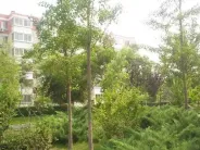 �������Ļ���ס���⾰ͼ