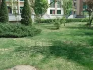 �ڳ�԰�⾰ͼ