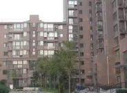 ŵ�������⾰ͼ