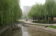��������Ͽ��