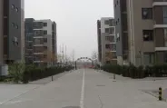 �������� (13)