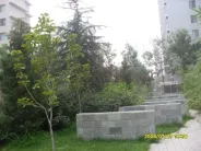 ��һʱ���⾰ͼ
