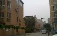 ��Է��ɫ��԰�⾰ͼ