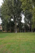 �������¼�԰԰���̵�ʵ��ͼ20111019