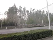 �����ļ�(�Ͼ�Ϫ����)¥��ʵ��ͼ2011.11