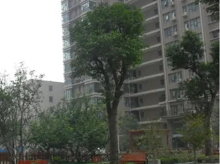 房源图片