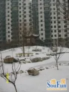 ��̩�佭���⾰ͼ