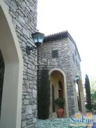 ��������ʢ�����⾰ͼ