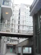 ���þ�Ӣ��԰�⾰ͼ