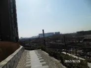 ǿ������³�С��ʵ��ͼ2012.02