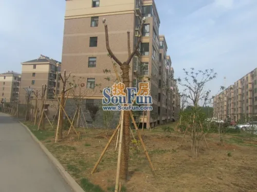 盘点徐州近期开盘楼盘 均价5800元\/平起