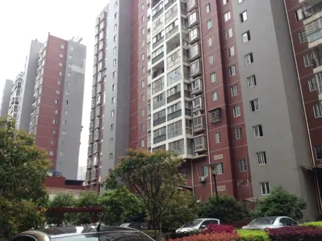 彩都小区租房,一室一厅,易初莲花 彩都 豪装一房