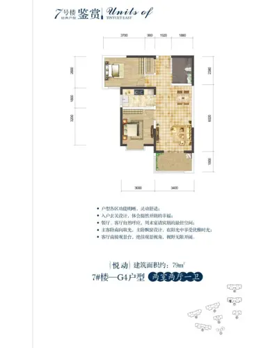 天悦东都户型图g4户型2室2厅1卫1厨