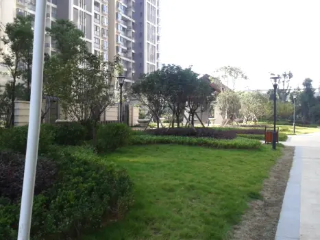 蓝山郡小区租房,四室两厅,星沙大道 易初莲花 大