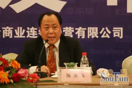 勒泰地产集团董事局主席杨龙飞答记者问
