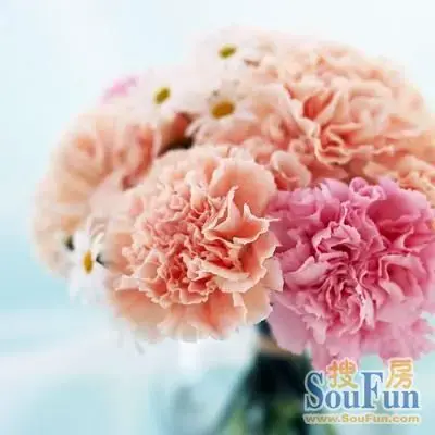 感恩母亲节 鲜花表情意