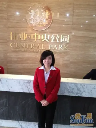 新乡伟业中央公园吴晓华:坚持正能量 迎接蜕变_房产资讯-长沙手机搜房网