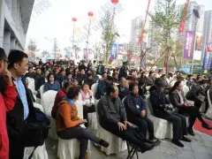 关于星星湖的双子星的毕业论文开题报告范文