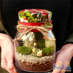 养个瓶中精灵做宠物 很萌很治愈_房产资讯-淄