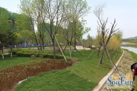 裕城A组团景观绿化初规模尽显生态人居品质新