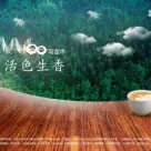 圣象WOO乌金木新品4.30绽放济宁